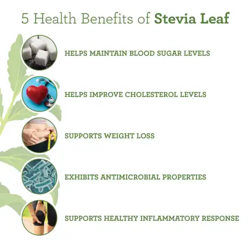 Benefits of Stevia Extract Powder Benefits of Stevia Extract Powder