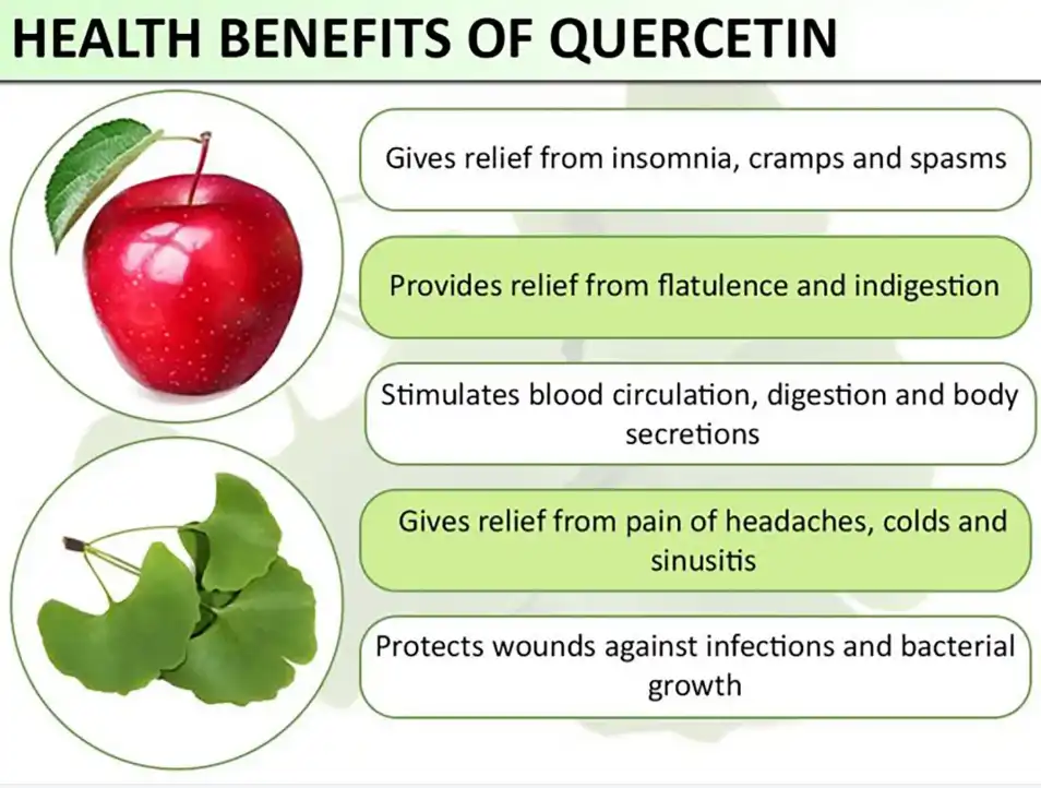 benefits of Quercetin