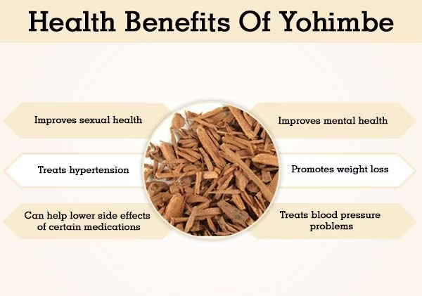 The effects of Yohimbine Extract Powder