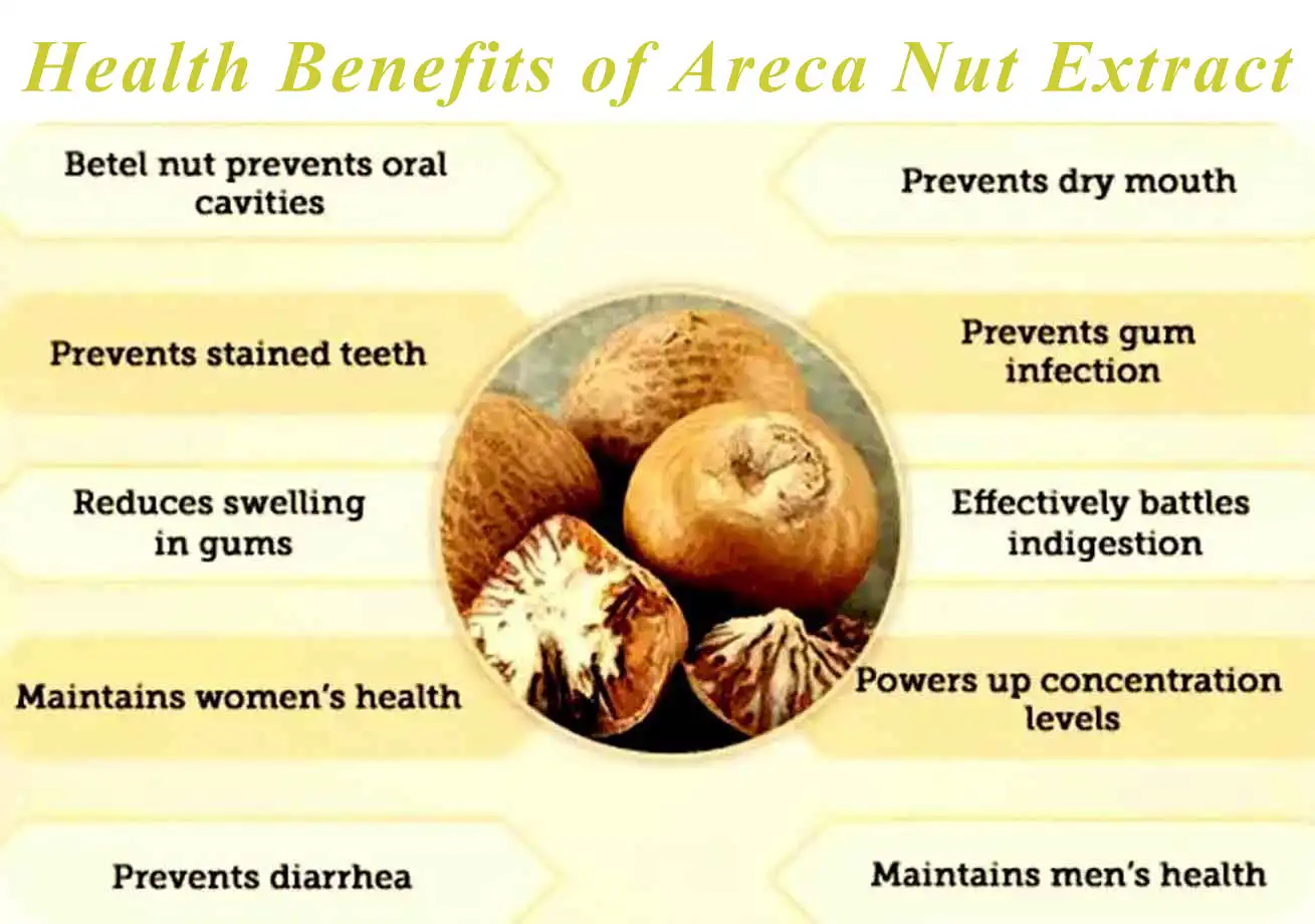 The Effects of Areca Nut Extract