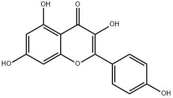 Structure of Kaempferol Powder