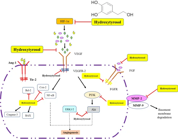 Nutritional Supplements and Functional Foods Industry Nutritional Supplements and Functional Foods Industry