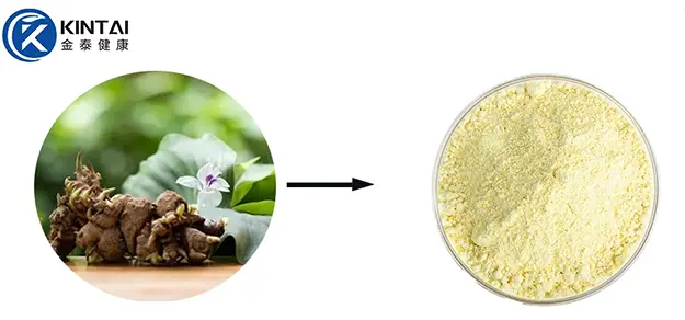 kaempferol kaempferol