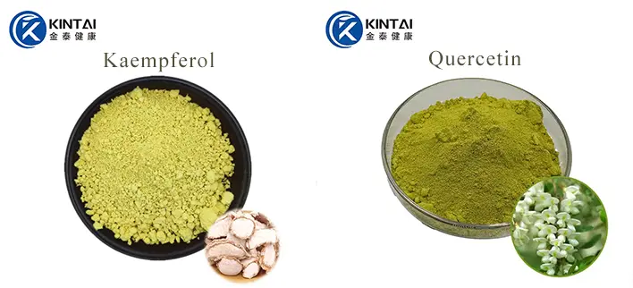 KINTAI Kaempferol& Quercetin Powder KINTAI Kaempferol& Quercetin Powder