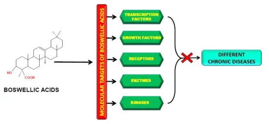 Effects of Boswellic Acid Powder