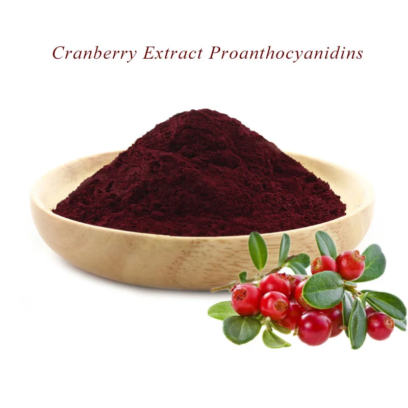 Cranberry Extract Proanthocyanidins