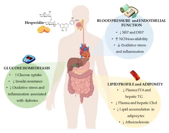 Benefits of Hesperidin Powder