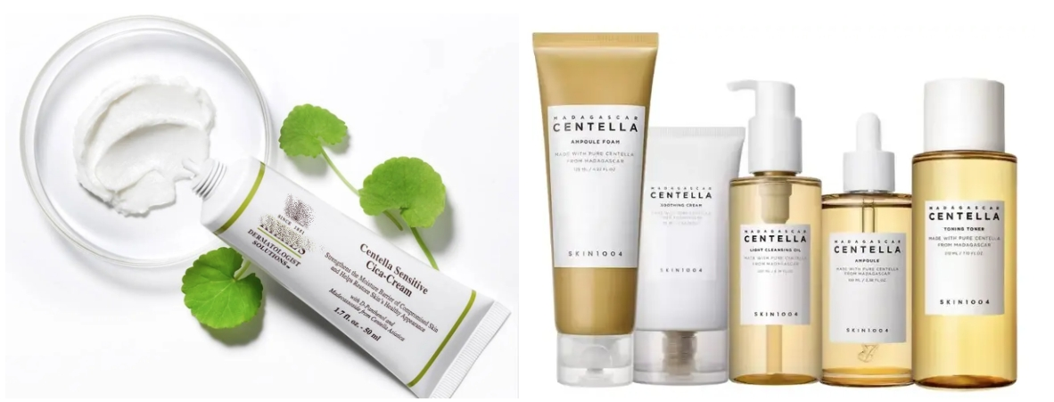 Centella Asiatica Skincare Products Centella Asiatica Skincare Products