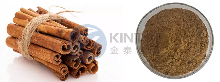 Cinnamon Extract Powder Cinnamon Extract Powder