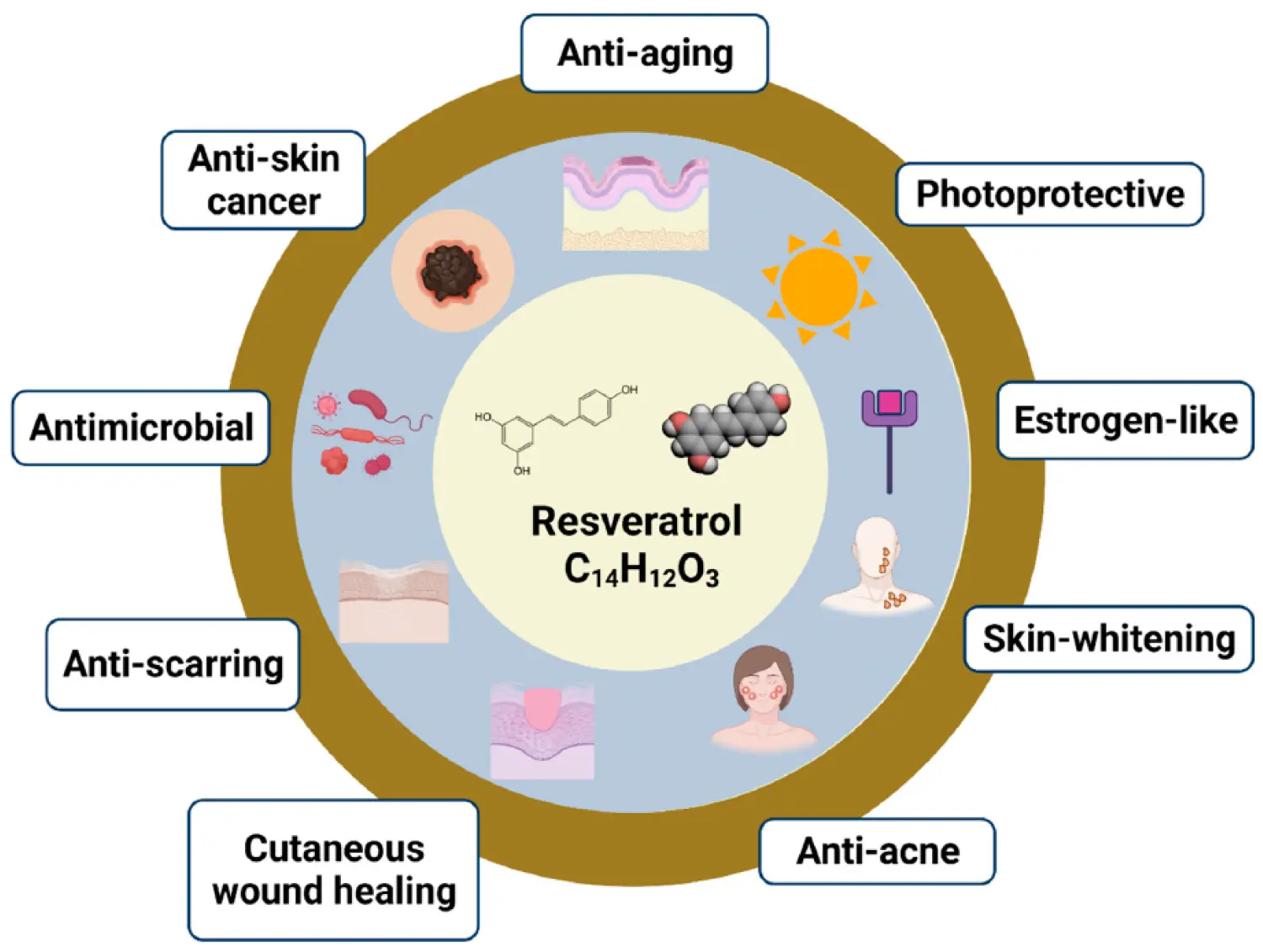 Resveratrol for Skin Resveratrol for Skin