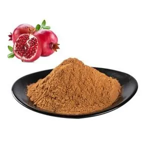 Pomegranate Extract Powder