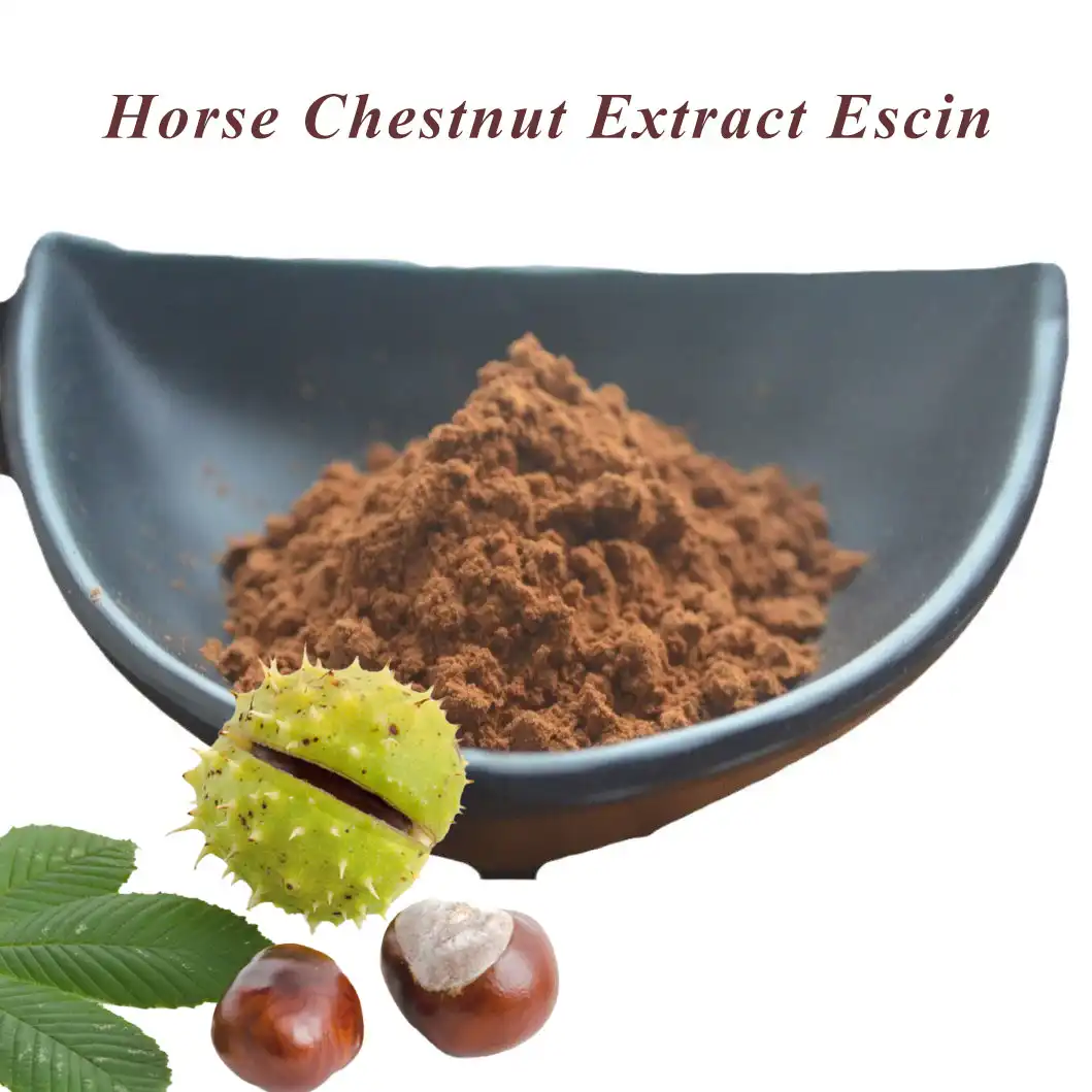 Horse Chestnut Extract Escin