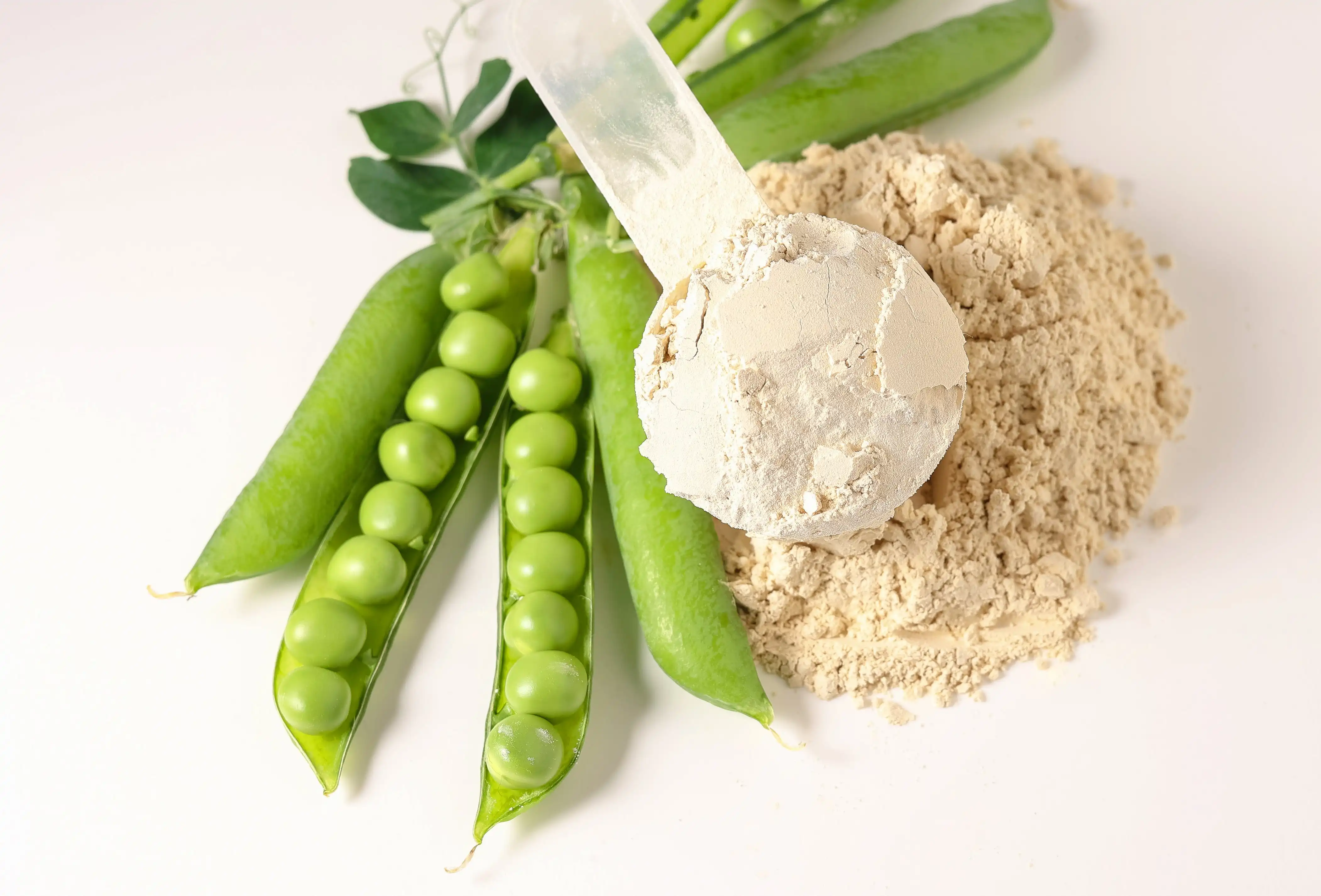 Organic Pea Protein Powder