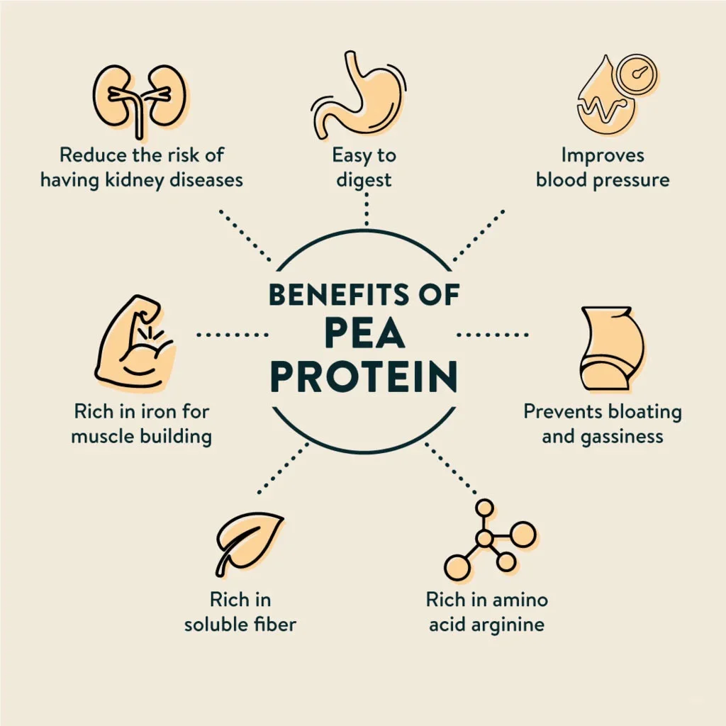 Health effects of Organic Pea Protein Powder