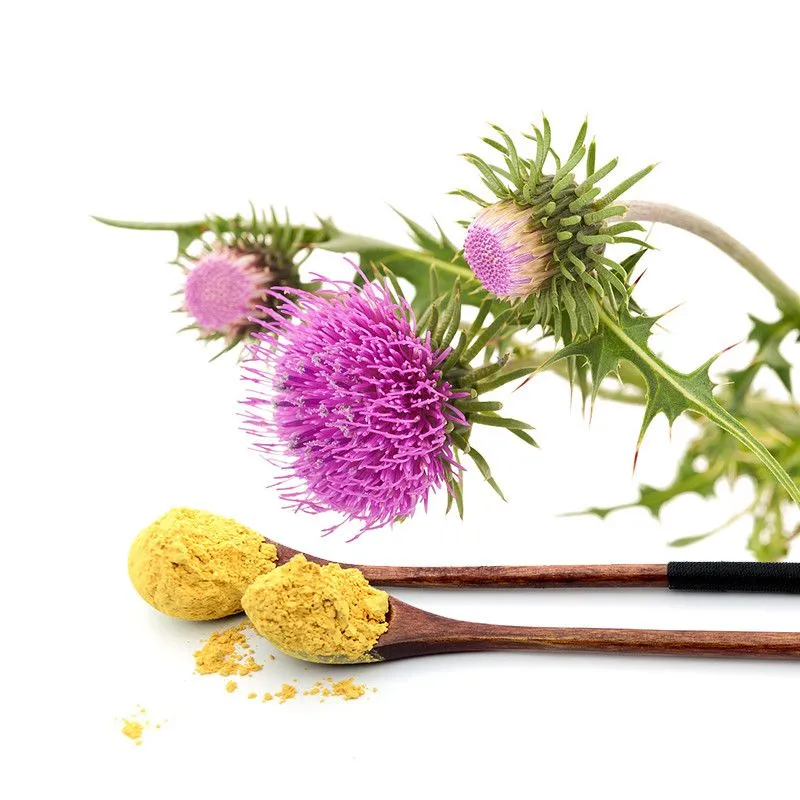 Milk Thistle Extract Powder