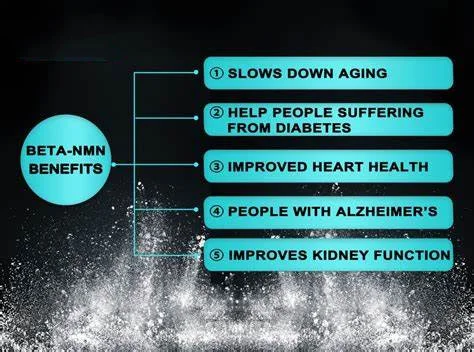 Benefits of β-Nicotinamide Mononucleotide Powder