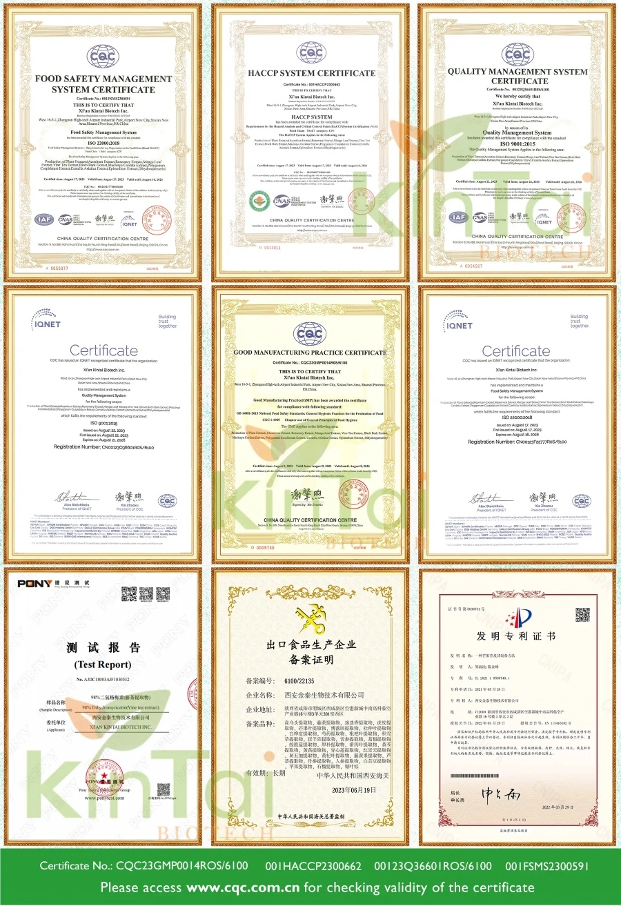 KINTAI certs KINTAI certs