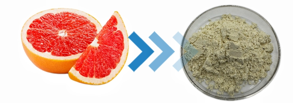 KINTAI Naringin powder KINTAI Naringin powder