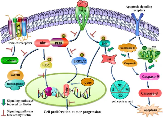 product-1-1 product-1-1
