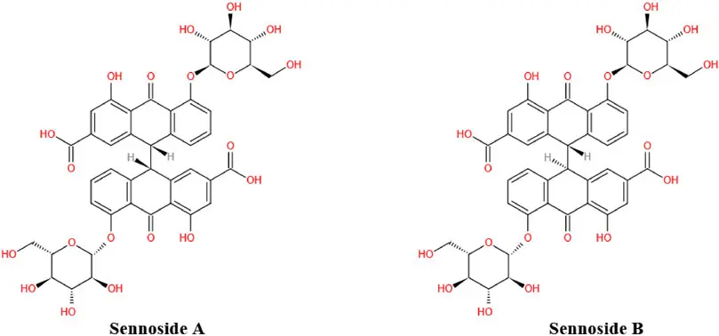 Senna Leaf Extract Powder Manufacturer/Supplier Senna Leaf Extract Powder Manufacturer/Supplier