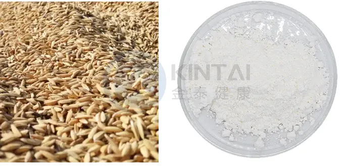 Healthkintai® Ceramides Plant Source Healthkintai® Ceramides Plant Source