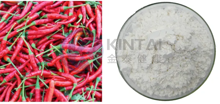Capsaicin Powder Capsaicin Powder