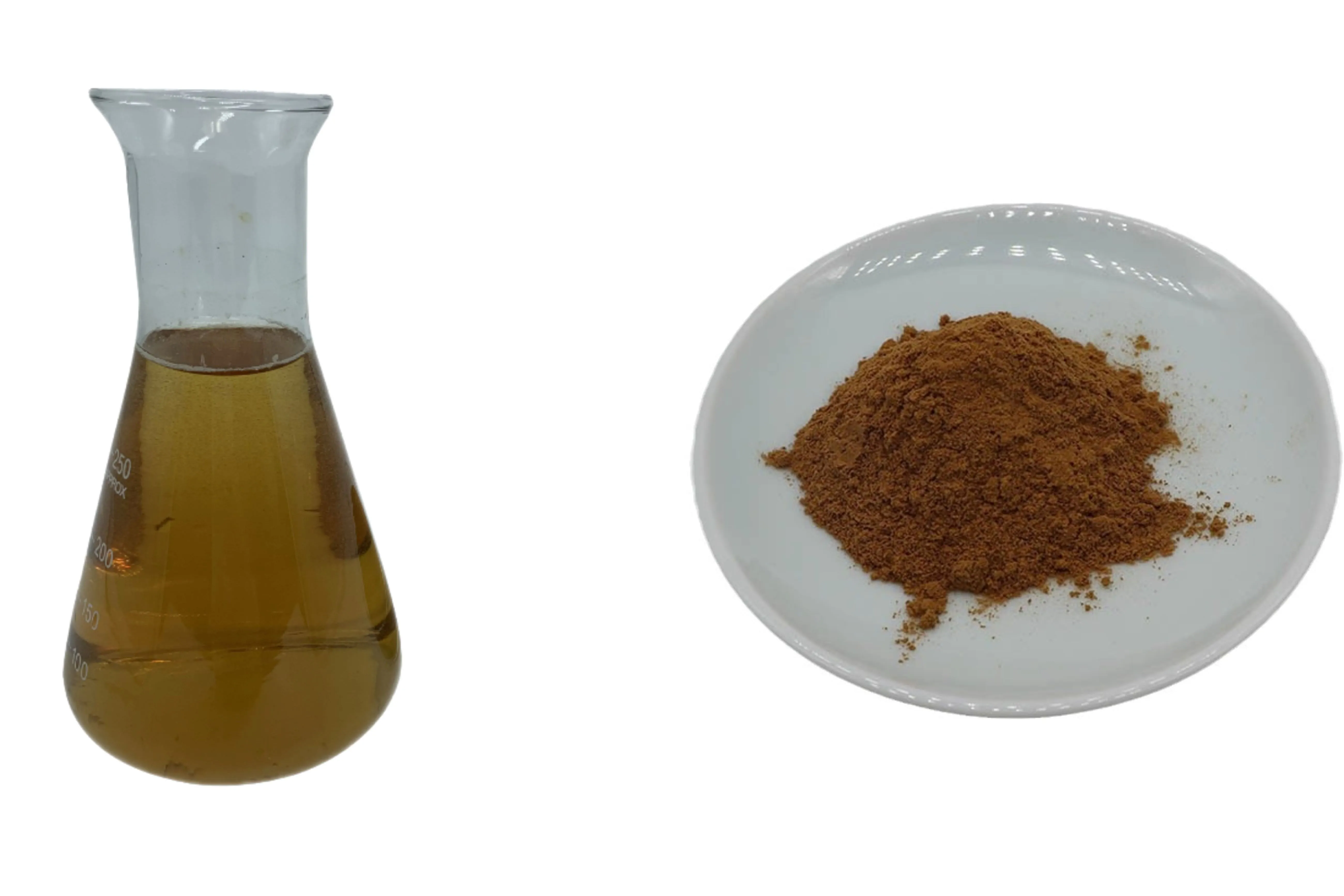 Jujube extract powder Jujube extract powder