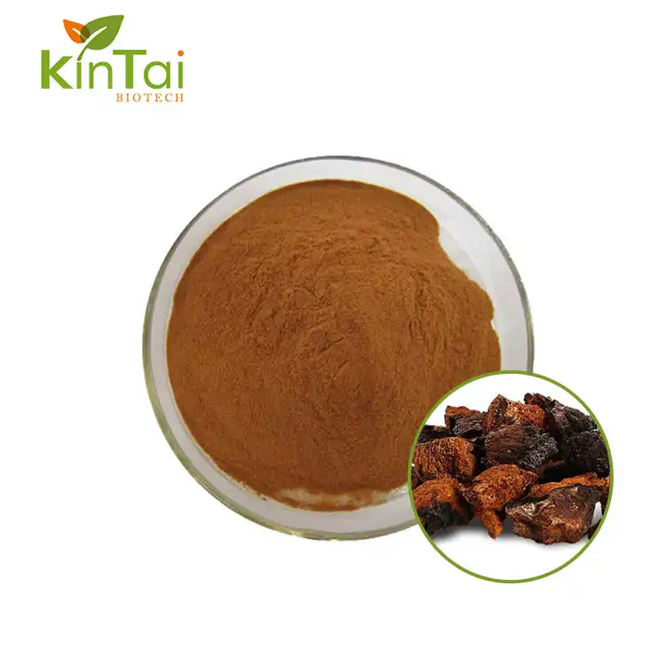 Chaga Extract Powder