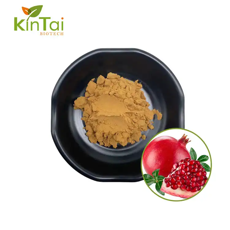 Pomegranate Extract Powder