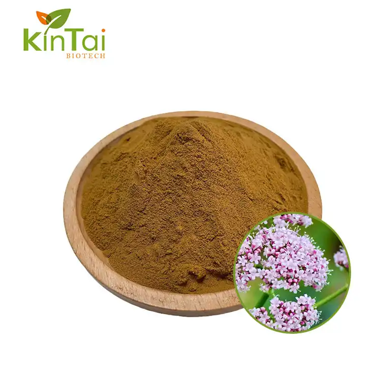 Valerian Root Extract Powder