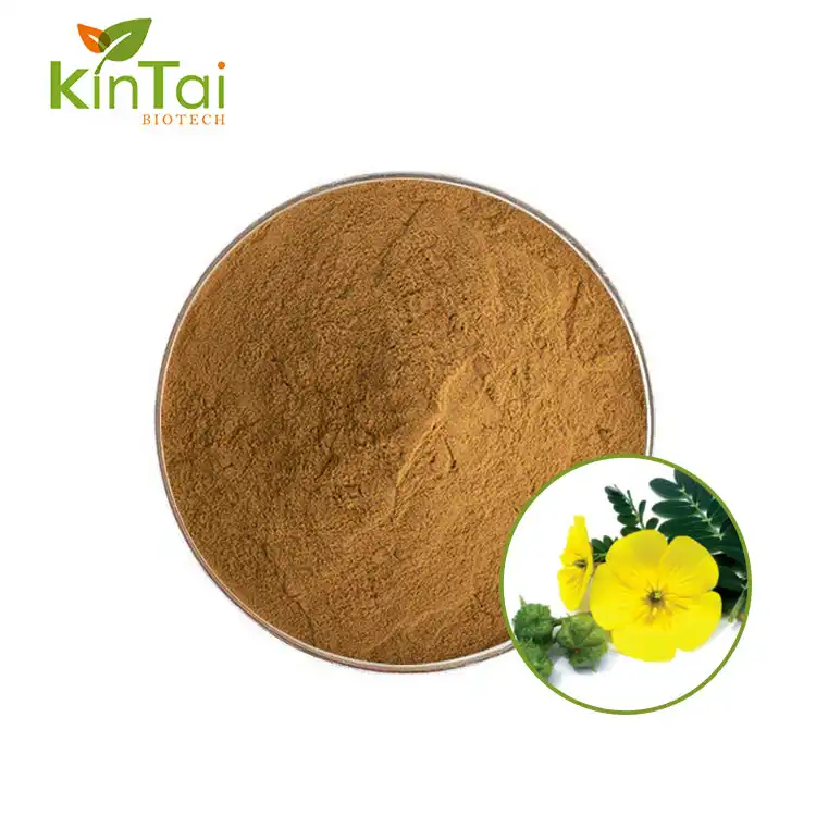 Tribulus Terrestris Extract Powder