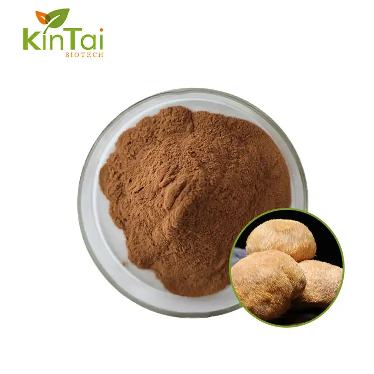 Lion's Mane Mushroom Extract Powder