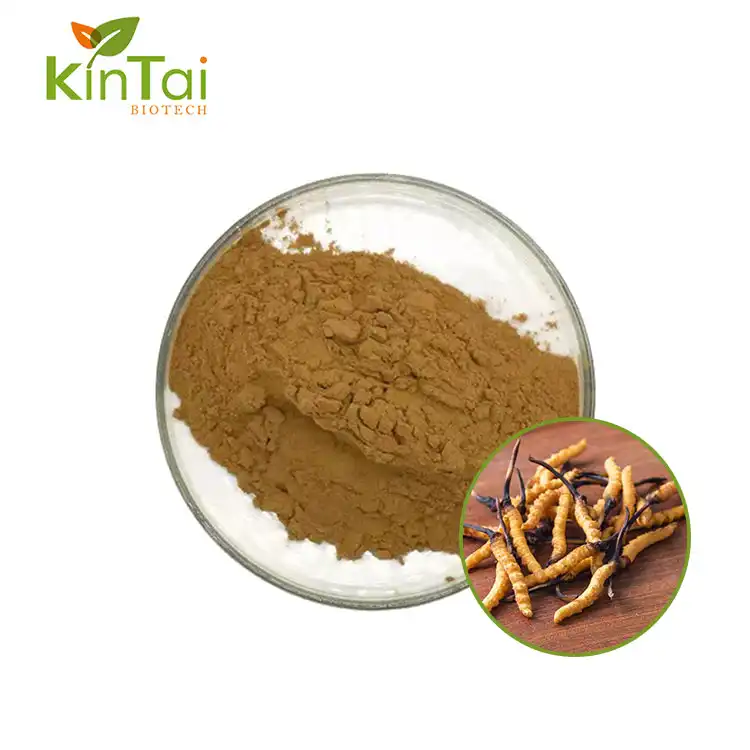 Cordyceps Mushroom Extract Powder