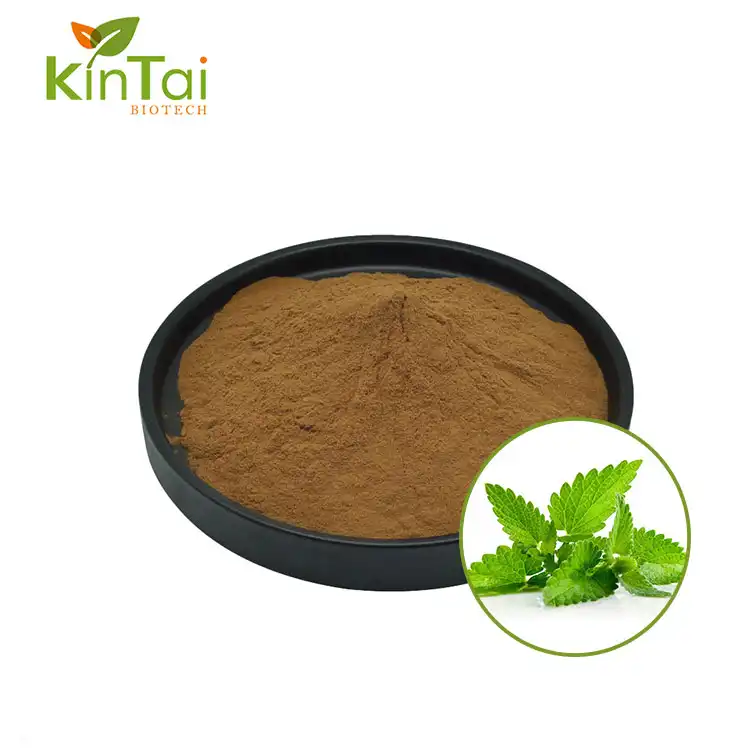 Lemon Balm Extract Powder