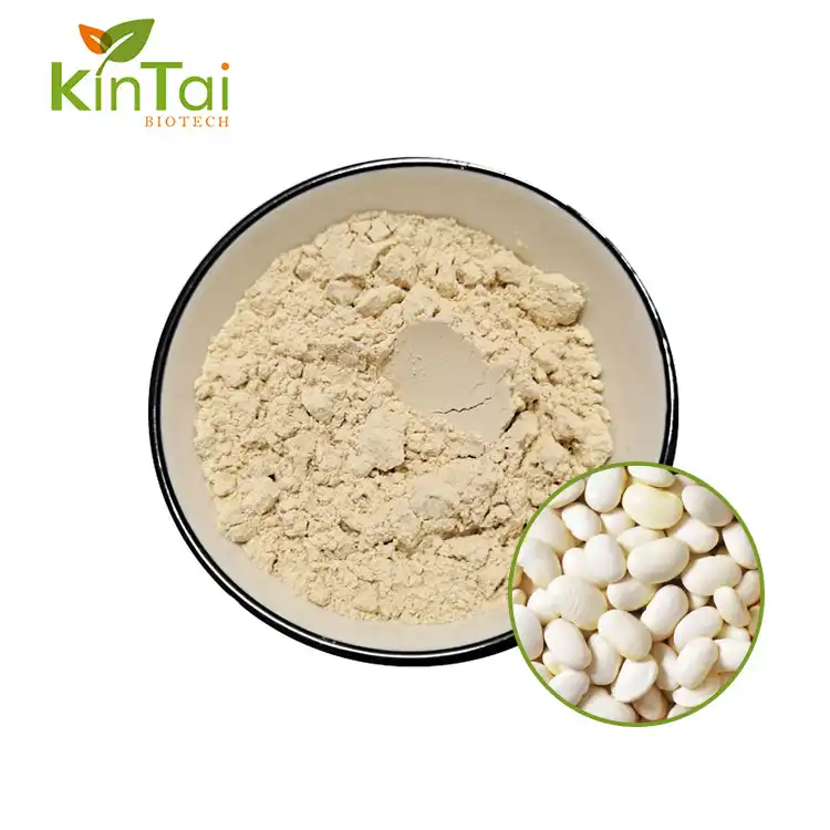  White Kidney Bean Extract Powder