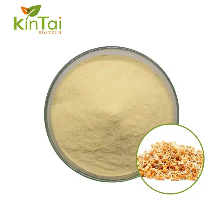 Wheat Germ Extract Powder