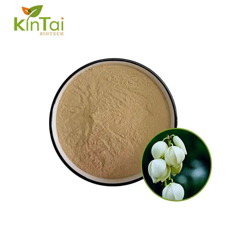 Yucca Extract Powder