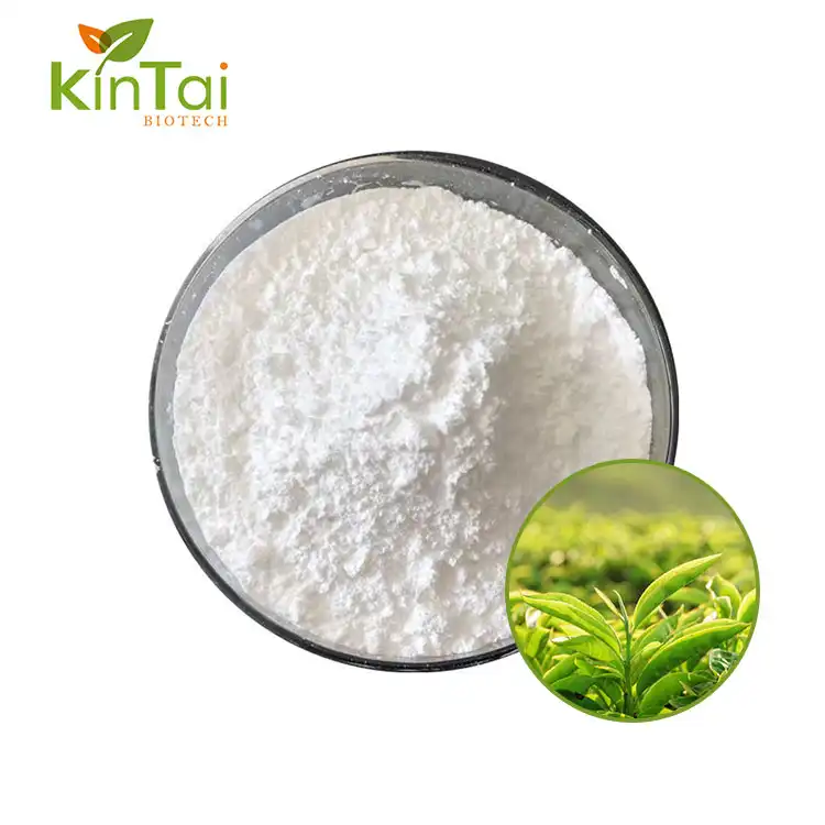 L Theanine Powder