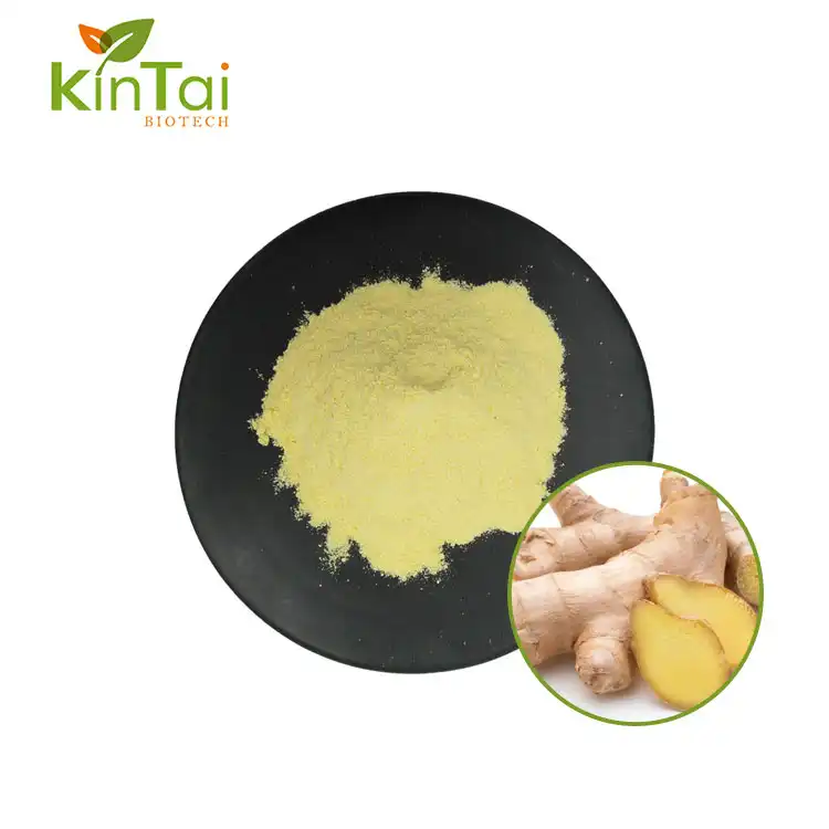 Gingerol Powder