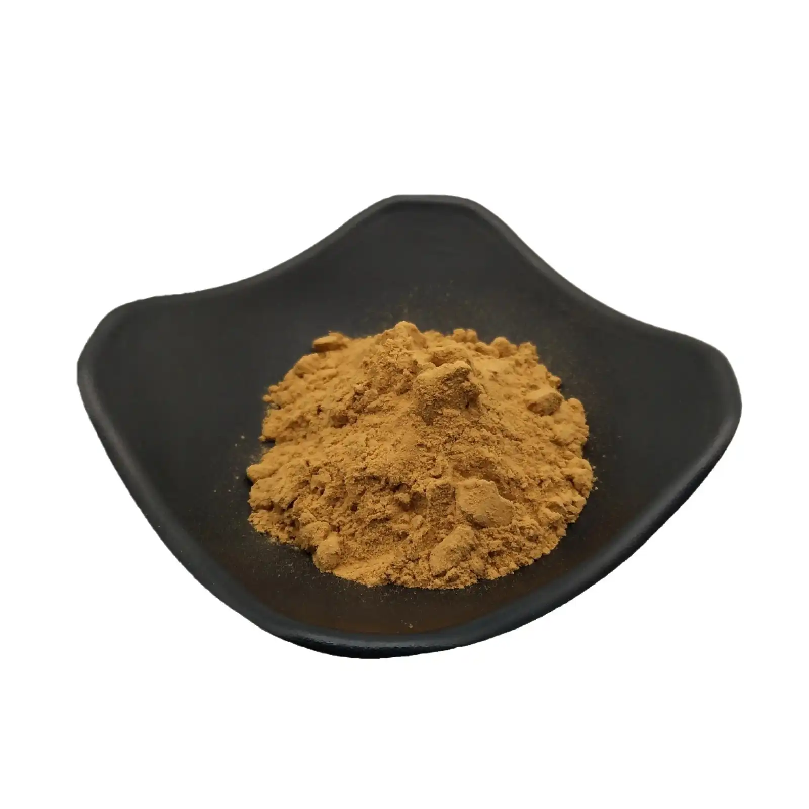 cordyceps mushroom extract powder