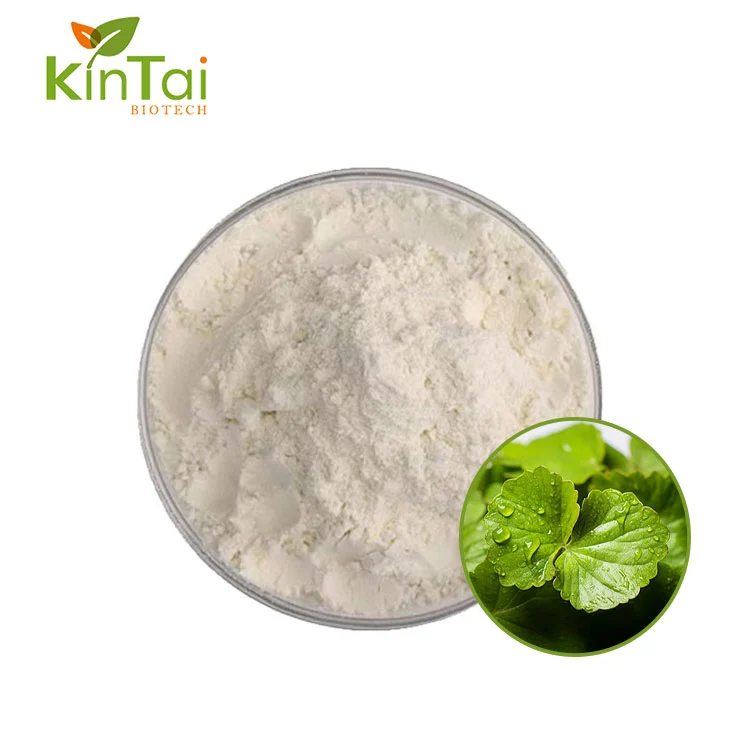 Centella Asiatica Extract Powder